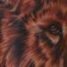 Tattoos - lion tattoo - 54968